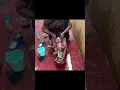 Download Lagu ❤️Baby Bath👶 | Baby Massage | Traditional bath🛀 | #shorts #babybath