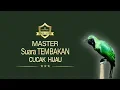 Download Lagu master FULL TEMBAKAN cucak hijau | AAHOBI MANIA