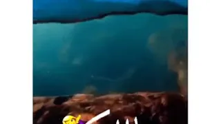 حاله واتس حياتي معاكي بتنفس هواكي افضل حاله واتس رومانسيه 