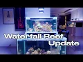 Download Lagu It's stocked! 250G Saltwater Predator Tank! Dual display Reef tank with a Waterfall?!