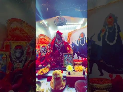jay meldi maa 🙏#meldi #meldimaa #meldimaastatus #viral #shorts