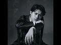 Tak Ada Yang Sepertimu - Rony Parulian
