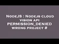 NodeJS Nodejs cloud vision api PERMISSION - DENIED wrong project