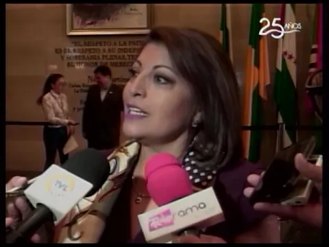 Asamblea espera tratar la renuncia de Vicuña a la vicepresidencia