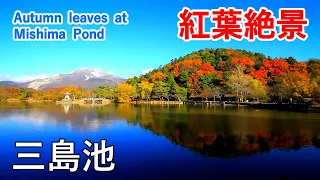 Download 滋賀県北東部の紅葉絶景 ( 三島池 / 小谷城 / 山本山 ) / Autumn Leaves at Mishima Pond ( Shiga,Japan )【日本の紅葉絶景！】[ 4K ] MP3