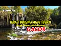 Download Lagu Gemericik Air Mengalir Jernih - Suara Air Terapi Burung Macet Bunyi