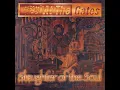 Slaughter of the Soul