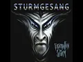 Lagu Sturmgesang - Freiheit
