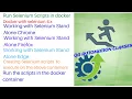 Docker selenium Integration Run Selenium scripts in docker container Selenium 4 x Grid in docker