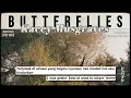 Kacey Musgraves – Butterflies [ LYRICS terjemahan Indonesia ]