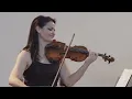 Vaughan Williams: The Lark Ascending (original version with piano)