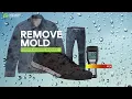 Esporta Cleans Mold