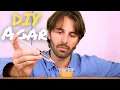 Easy 0 25 Agar Plates for Mushrooms No Lab Needed