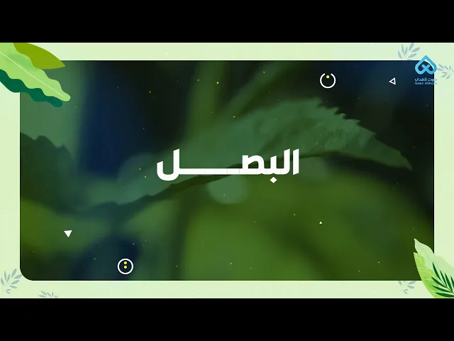 النباتات في القرآن | البصل 10