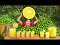 Download Lagu Single mom Harvests giant green lemons to sell at the market