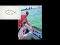 Detroit River Walleye Report numb 12 - Winding down and Bonus Sturgeon