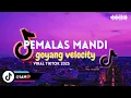 Download Lagu DANGDUT _ GOYANG VELOCITY X PEMALAS MANDI || IYAND RMXR _ NEW 2025🔥 MP3
