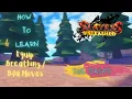 The Basics How to learn Moves and use them Slayers Unleashed