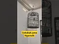 Download Lagu cekakak jawa ngeriwik