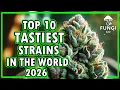 Breaking Top 10 Tastiest Weed Strains of 2026 FUNGI Co News