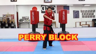 KARATE For Beginners Lesson 6 Block And Punch Technique 