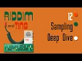 Teenage Engineering EP-40 Riddim - Tutorial 12 Sampling Deep Dive