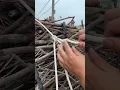 WOW Super Simple Trucker s Hitch for Everyone