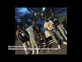 Inside the Mafia Insane Vice Lords Chicago s Most Ruthless VL Sets