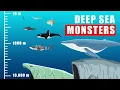 Download Lagu Deep Sea Monsters and Where They Might Live