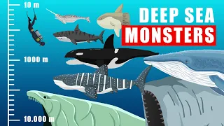 deep sea monsters and where they might live