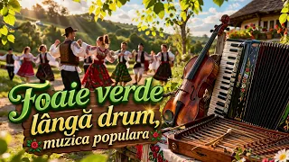 foaie verde l ng drum cea mai frumoas muzic popular de petrecere 2026 romania