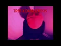 Tr33 x dangerous