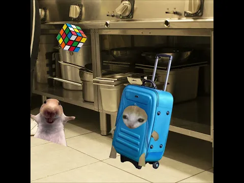 Baby Banana Cat Luggage Cat 🐱