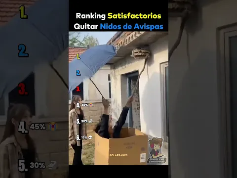 🔴RANKING SATIFACTORIOS QUITAR NIDOS😭🌀Parodia Español🌀 #humor #ranking #comedia #parodia #fandub