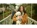 Download Lagu My Duchess Has a Heart of Gold - Stomptown Brass \u0026 Madra Mór Films