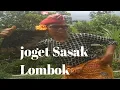 Download Lagu JOGET SASAK LOMBOK #shorts