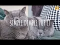 Simple Dimple Pop It (remix) - M\u0026A, Бэтси // (Vietsub + Lyric) Tik Tok Song