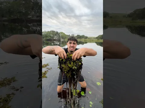 PULEI NO PÂNTANO DO JACARÉ! 🐊