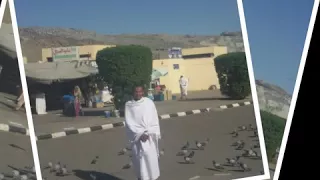 مكتوب على الجبين اشوف النبى بعينى دندنها