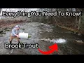 Trout Stocking Our Own Creek In Pennsylvania