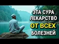 🤍 АЛЛАХ дает ИСЦЕЛЕНИЕ МНОГИМ БОЛЕЗНЯМ.