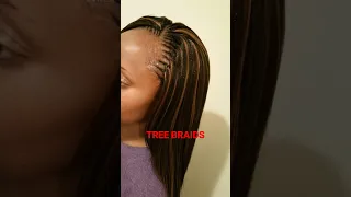 Tree braids with highlights color
