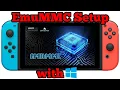Setup Guide - Windows Nintendo Switch English