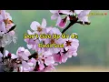 DON'T GIVE UP ON US  by: David Soul (with lyrics)