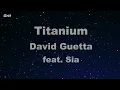 Titanium ft. Sia - David Guetta Karaoke 【With Guide Melody】 Instrumental