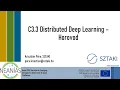 NEANIAS Core Distributed Deep Learning by Horovod