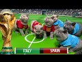 Download Lagu LETS UNLEASH CATS KITTENS WORLD CUP!
