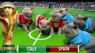 lets unleash cats kittens world cup 
