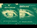 Download Lagu SILK X Chicane feat. Bryan Adams - Don't Give Up (Extended Mix)