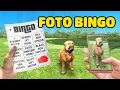 Lagu GTA Foto Bingo